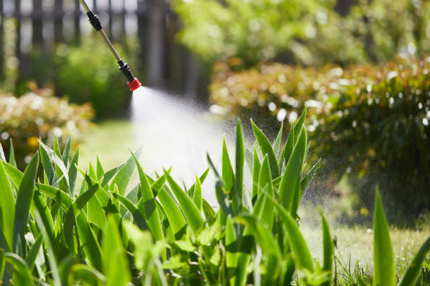 24/7 Emergency Mosquito Control experts in Chico, TX